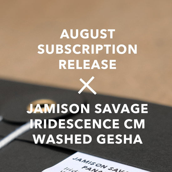 August Subscription Release Iridescence: A Masterpiece by Jamison Savage - Standout Coffee