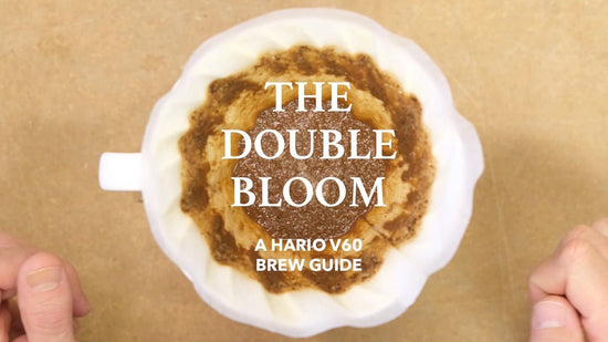 The Double Bloom Coffee Recipe: Master Your V60 in 3 Minutes - Standout Coffee