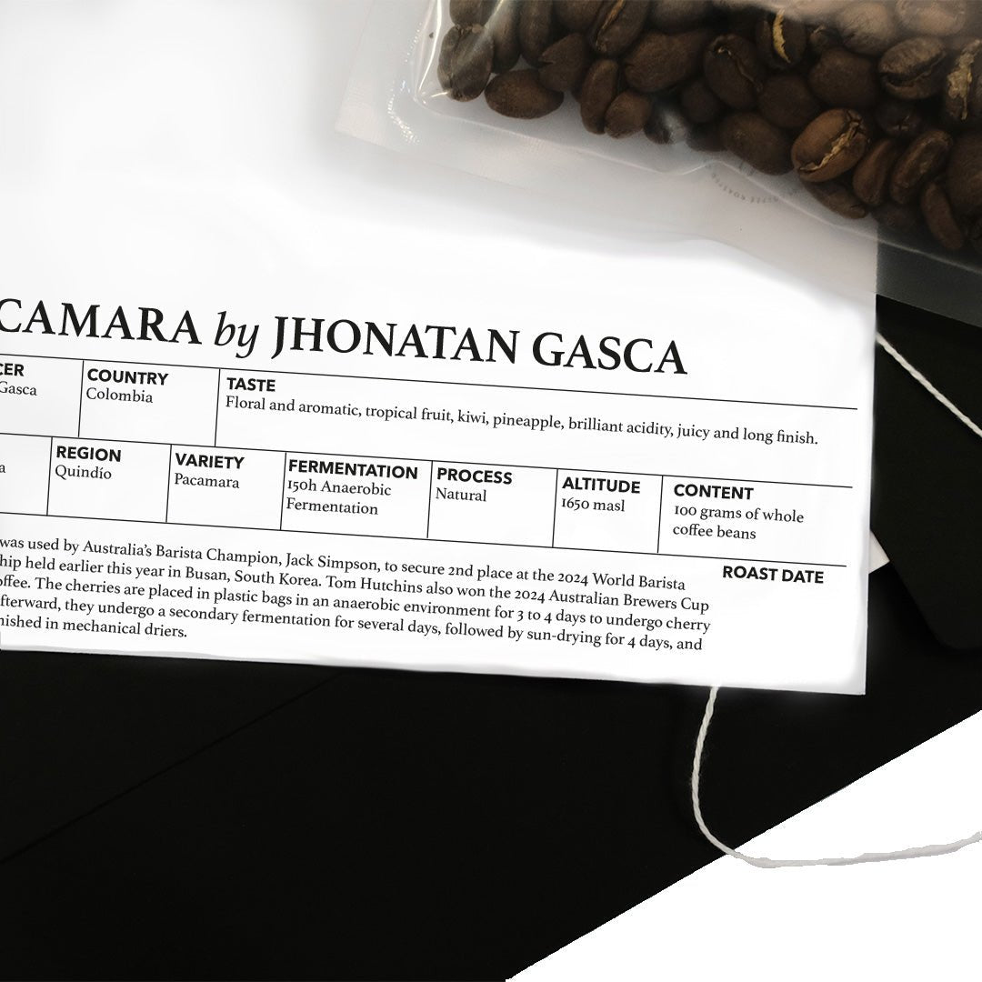 Jhonatan Gasca 150h Anaerobic Fermented Natural Process Pacamara - Web Exclusive - Standout Coffee