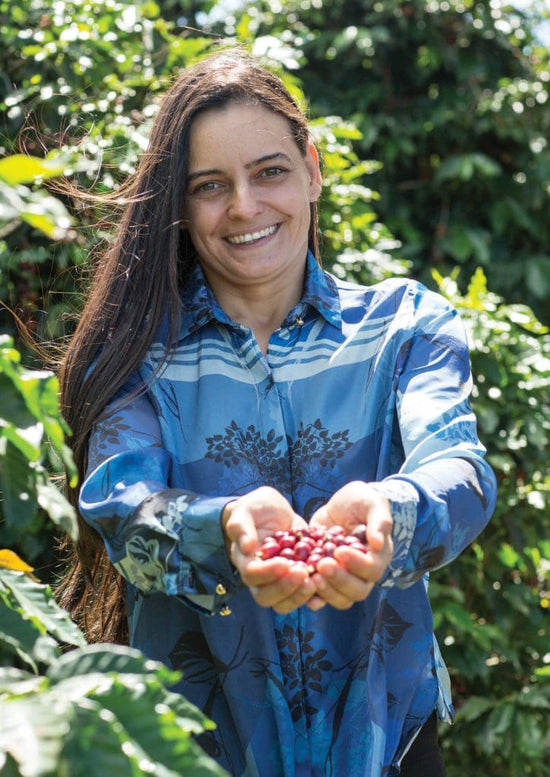 Brazil Cerrado Mineiro – Espresso