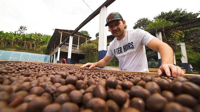 Sebastian Ramirez - Washed Caturra/Castillo/Colombia Field Blend - Colombia - Standout Coffee