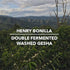 Henry Bonilla Colombia Double Fermented Washed Gesha - Colombia - Standout Coffee